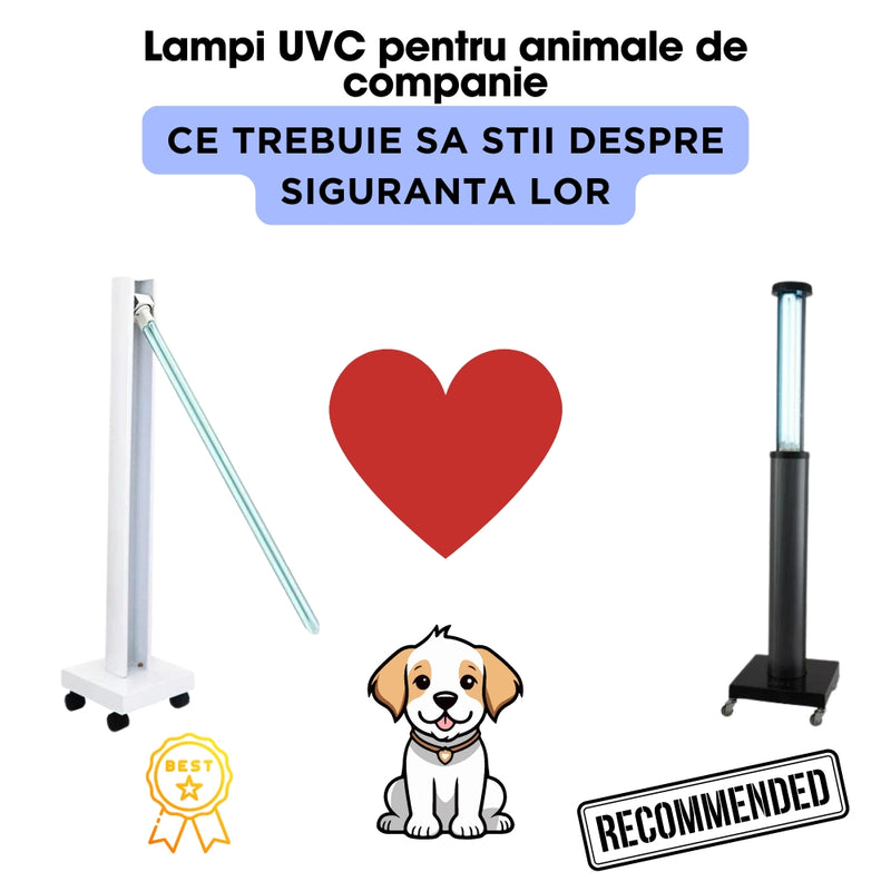 Lampi UVC pentru animale de companie: Ce trebuie sa stii despre siguranta lor
